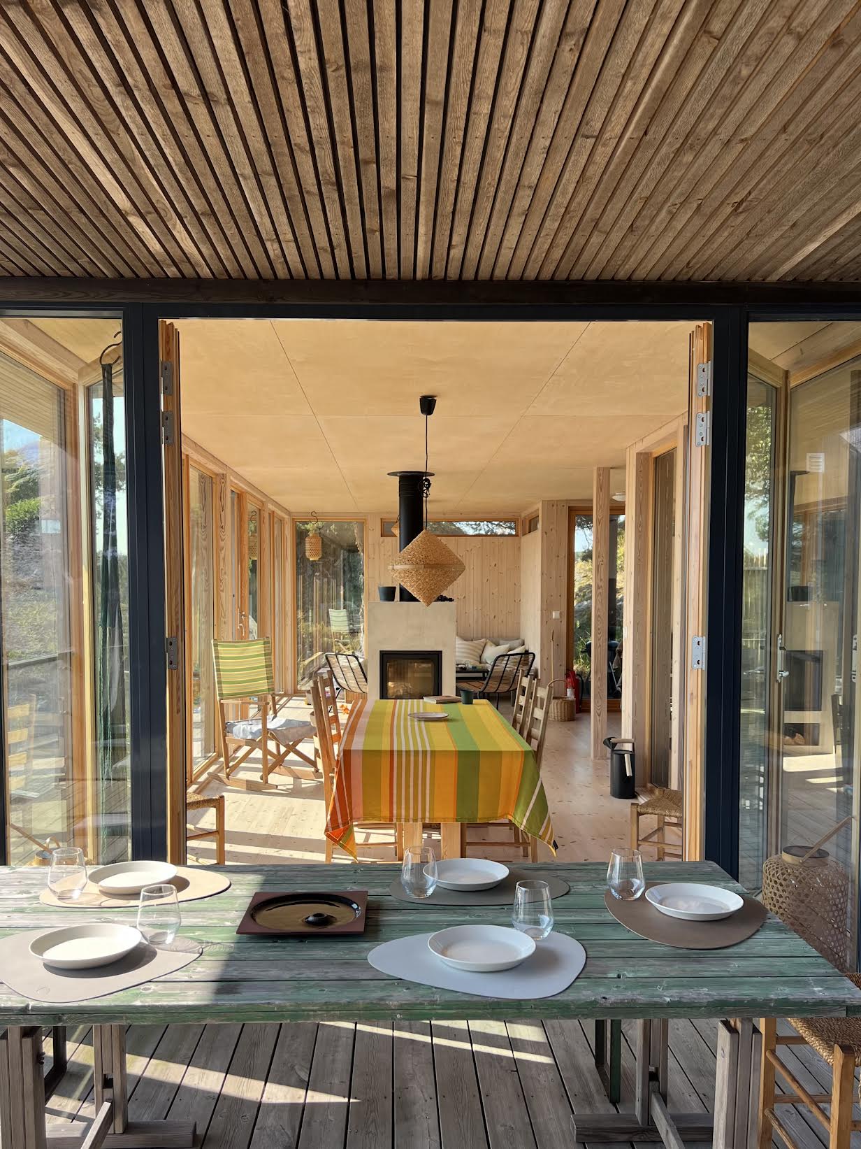 Duk Yellow Punch Lily