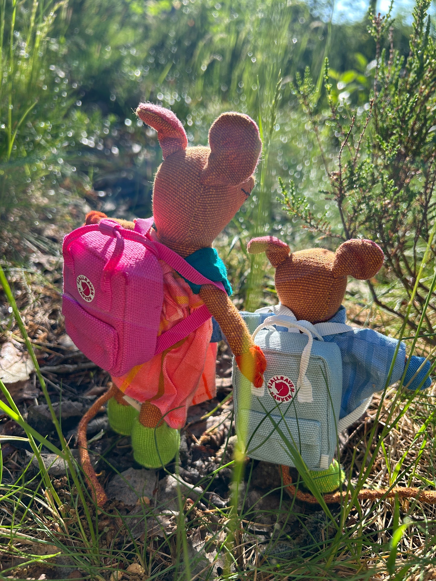 Ryggsekk til Barefoot mus ( passer til mellomstore og store mus)