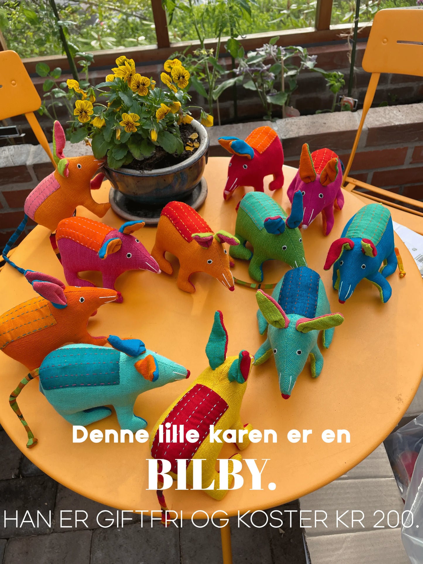 BILBY heter jeg, på norsk kalles jeg en pungkanin.