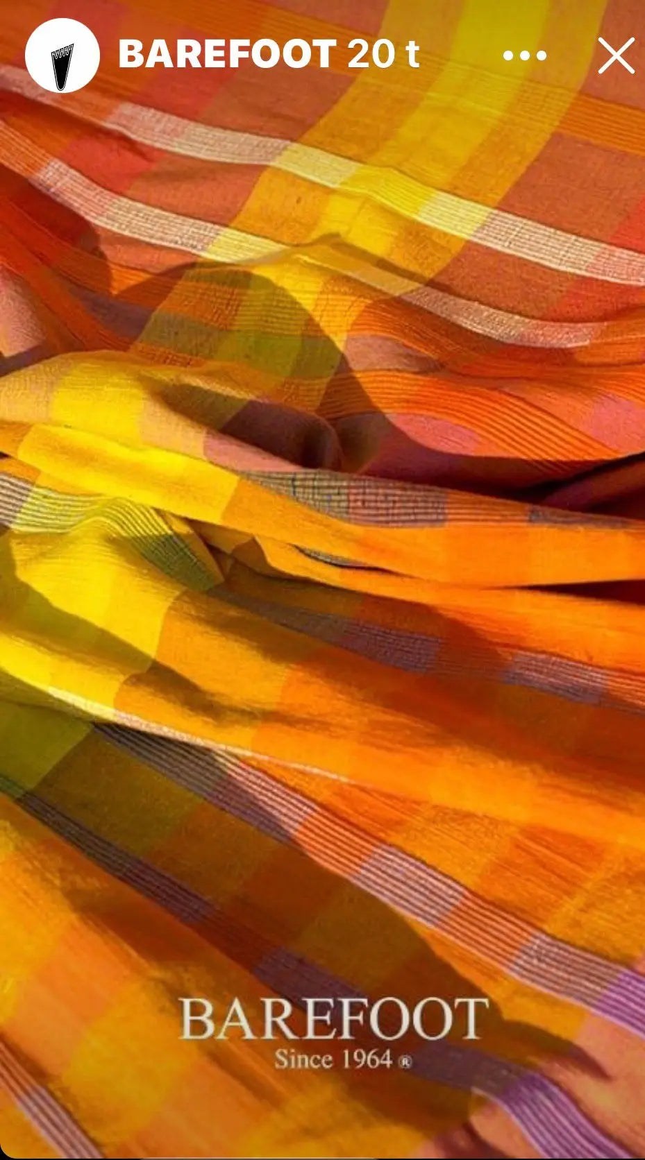 Rhedda. "These are Barefoot´s paintings". 132x226.